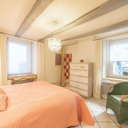 Apartment Classified 3 Stars Located In The Heart Of The Old Town آنسي المظهر الخارجي الصورة
