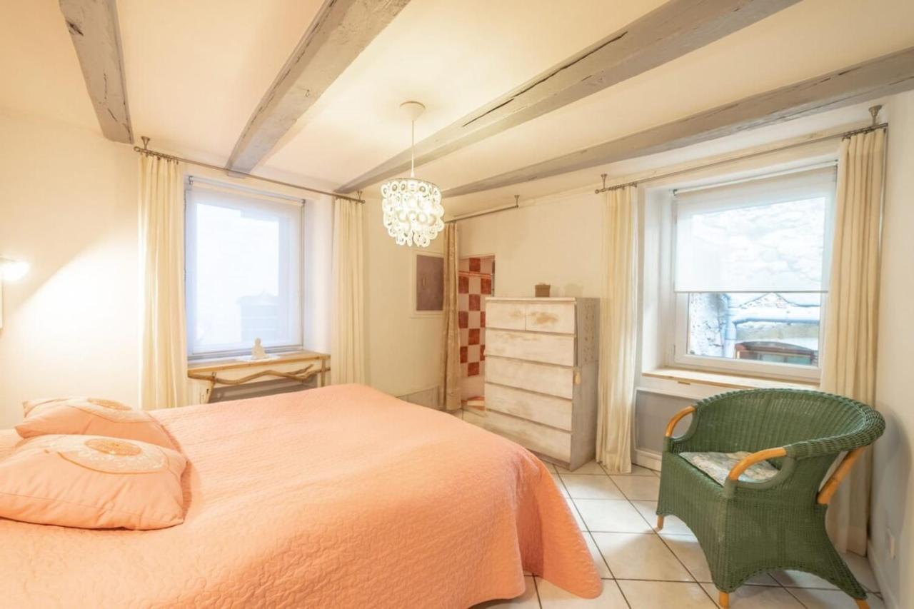 Apartment Classified 3 Stars Located In The Heart Of The Old Town آنسي المظهر الخارجي الصورة